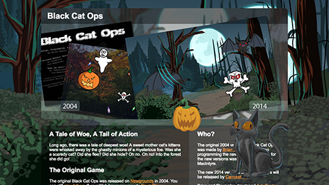 Black Cat Ops web site feature image