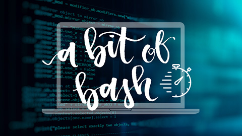 A Bit of Bash